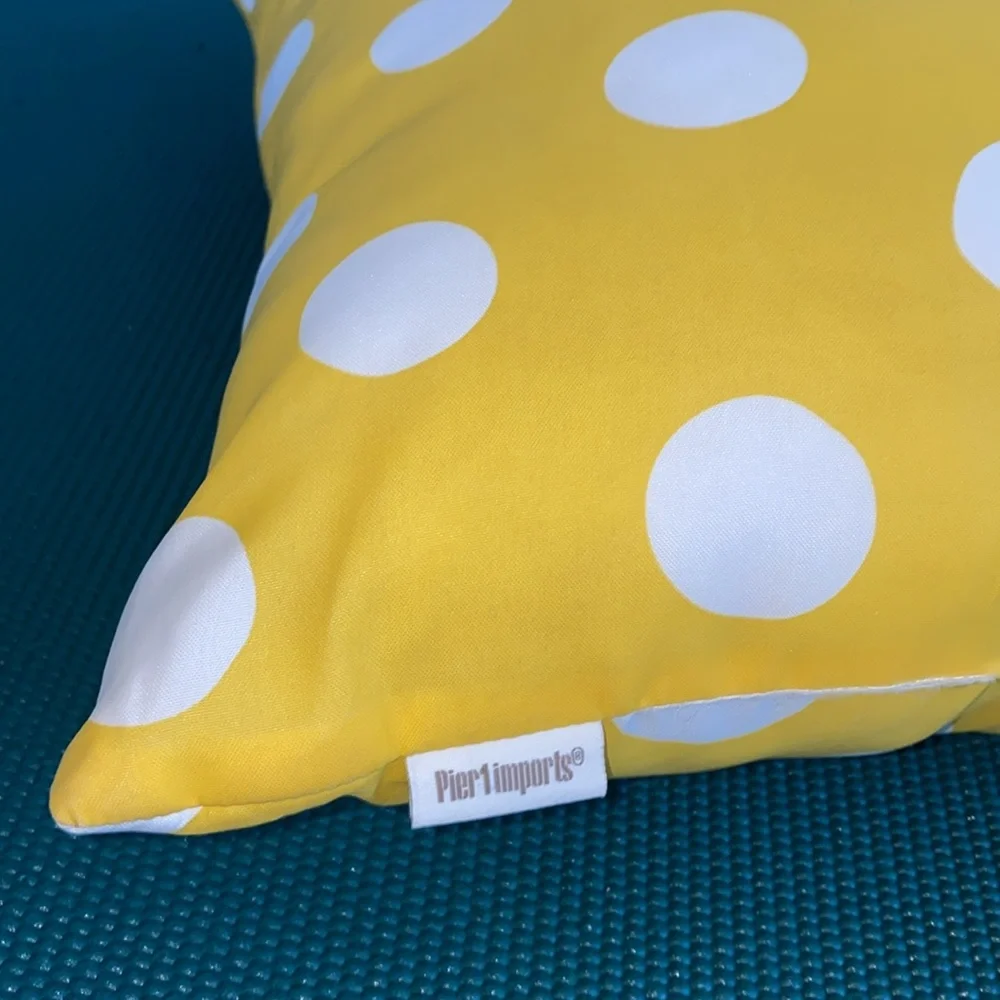 Pier 1 Imports Polka Dots Decorative Throw‎ Pillow 16
